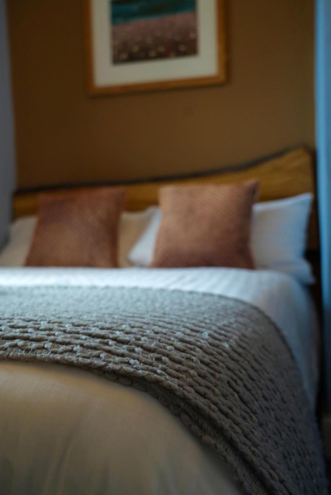 Arosfa Harbourside Guesthouse Aberaeron Dış mekan fotoğraf
